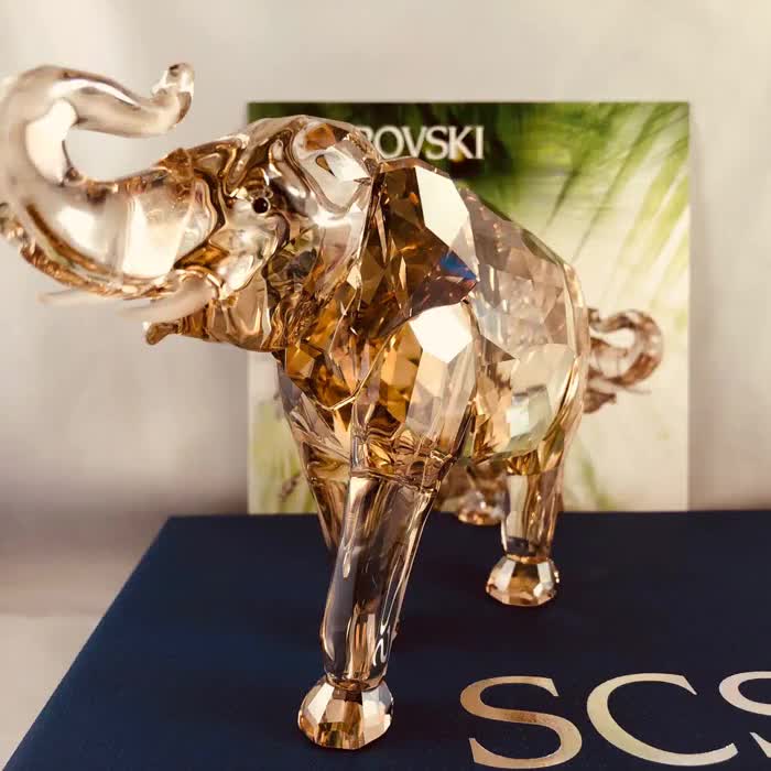 スワロフスキー　SCS 2013　ヤングエレファント スワロフスキー SCS 2013 ヤングエレファント スワロフスキー